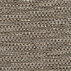 Chorus Crypton Upholstery Fabric